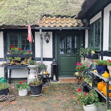 The Foresters House- Idyllic Tranquility- Non Smokers Only Store Heddinge Dış mekan fotoğraf