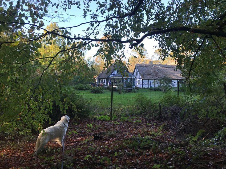 The Foresters House- Idyllic Tranquility- Non Smokers Only Store Heddinge Dış mekan fotoğraf