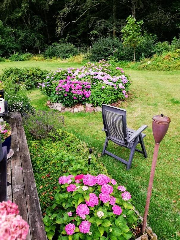 The Foresters House- Idyllic Tranquility- Non Smokers Only Store Heddinge Dış mekan fotoğraf