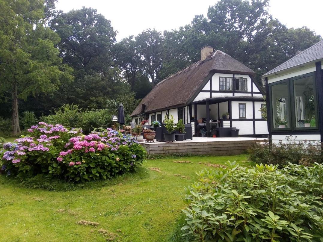 The Foresters House- Idyllic Tranquility- Non Smokers Only Store Heddinge Dış mekan fotoğraf