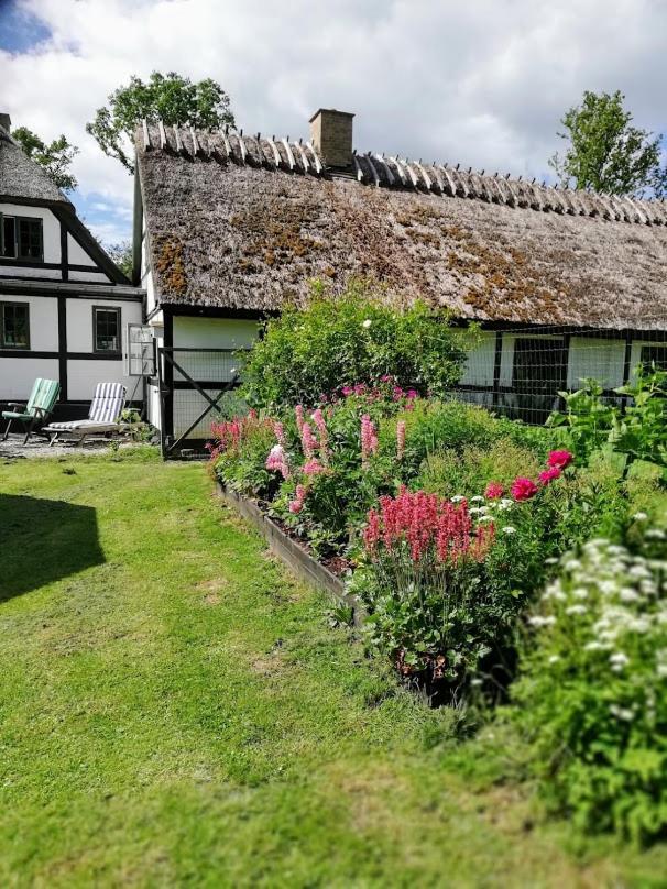 The Foresters House- Idyllic Tranquility- Non Smokers Only Store Heddinge Dış mekan fotoğraf