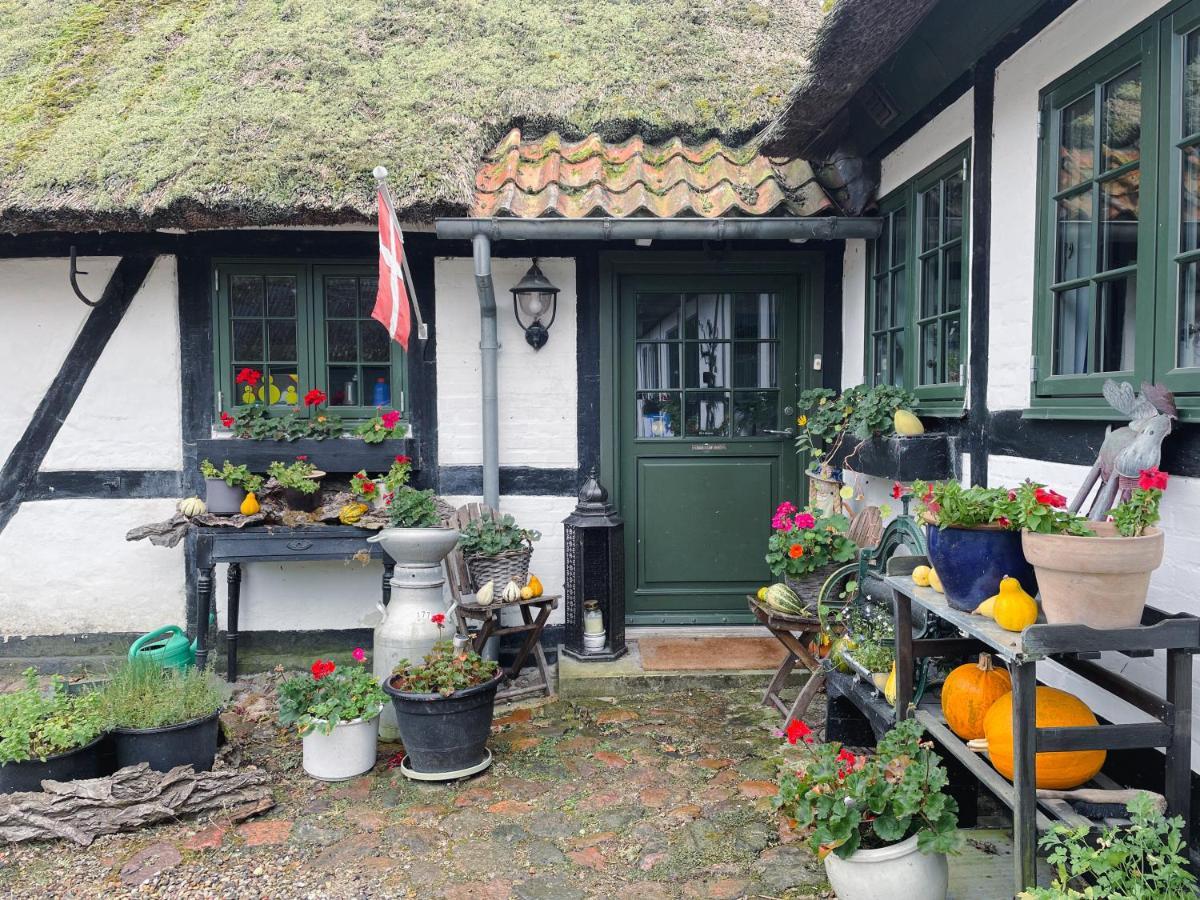 The Foresters House- Idyllic Tranquility- Non Smokers Only Store Heddinge Dış mekan fotoğraf